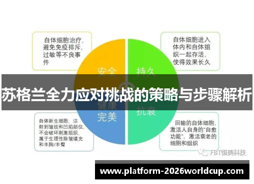 苏格兰全力应对挑战的策略与步骤解析 苏格兰全力应对挑战的策略与步骤解析