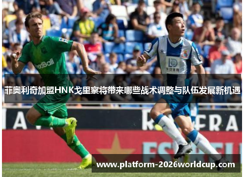 菲奥利奇加盟HNK戈里察将带来哪些战术调整与队伍发展新机遇